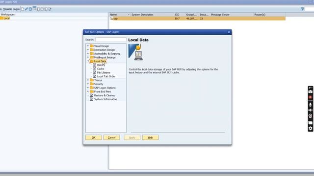 How to enable history in SAP GUI | SAP GUI 7.7 History issue | Input fields not storing Data in SAP смотреть онлайн