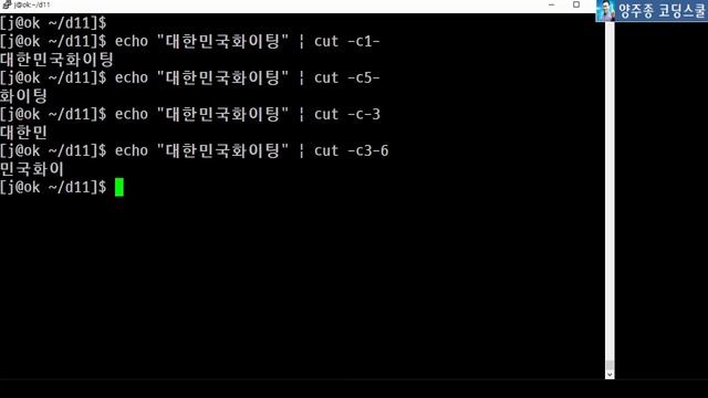 리눅스 기초 강좌 - 명령어 100 cut 필드별로 자르기 awk смотреть онлайн