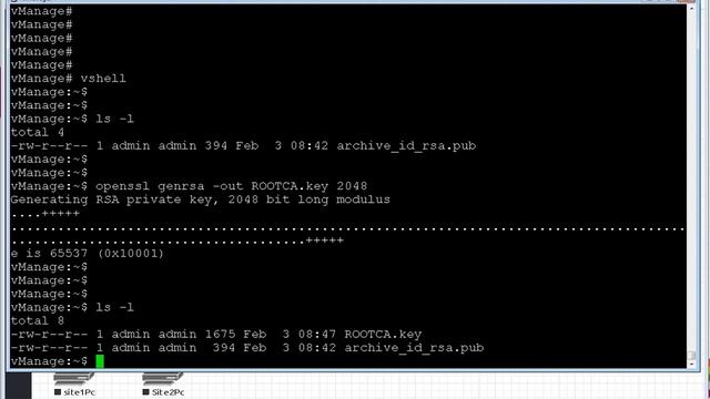 vManage as CA Certificate Authority смотреть онлайн