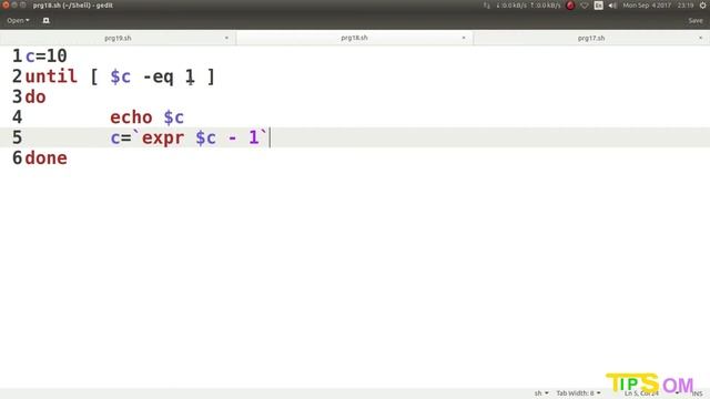 Shell Scripting Tutorial -21: While & Untill Loop - Factorial of a number | Som Tips смотреть онлайн