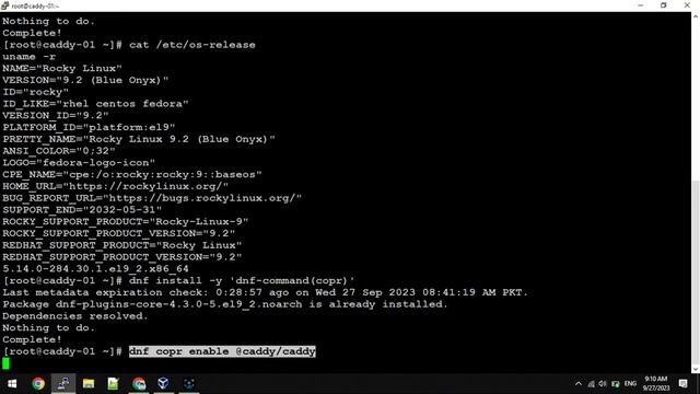 How to install Caddy Server on Linux смотреть онлайн