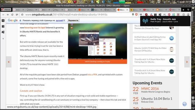 Unity + Mate + Variety + Firefox + Simple Screen Recorder + Ubuntu 14.04.3 LTS смотреть онлайн