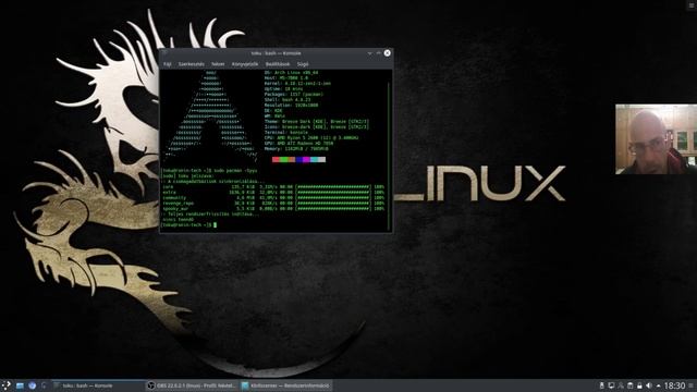 Arch Linux 64 Bit KDe Felülettel (Saját vélemény) смотреть онлайн