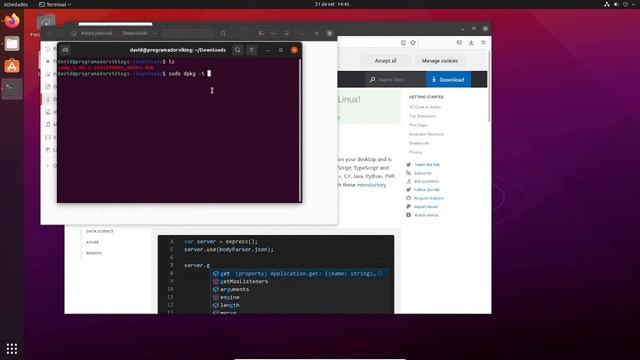 VSCode Linux: Como Instalar Da Forma Correta (Passo a Passo) смотреть онлайн
