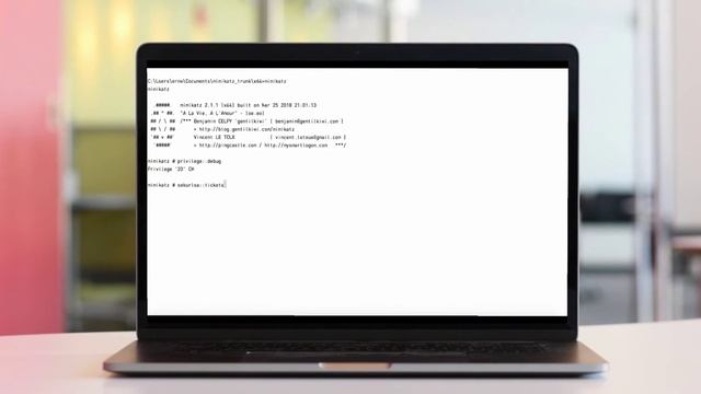 2018: Talk about Active Directory security (short version) смотреть онлайн