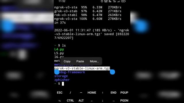 How to install ngrok in Termux in 2022 V3 | New Version 3 | Ngrok Errors Solved 2022 смотреть онлайн