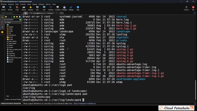 Become a Linux Pro: Part-2 | Master the Command Line | Unlocking: #sudo, #pwd, #cd смотреть онлайн