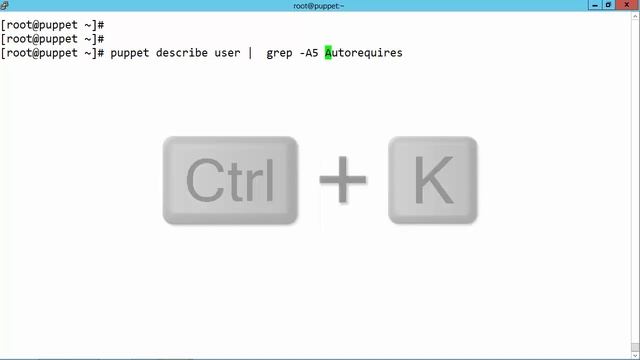 BASH Shortcuts: navigating line endings смотреть онлайн