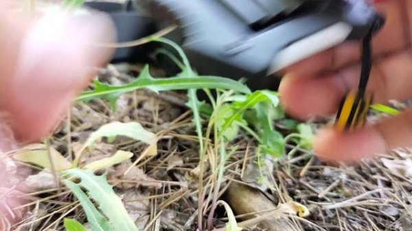 EDC(походная)мини точилка Work Sharp MICRO SHARPENER WSEDCMCR-I