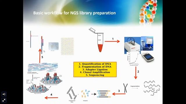 e-Refresher Course Workshop VII on Bioinformatics for Metagenomics (21.09.20) смотреть онлайн