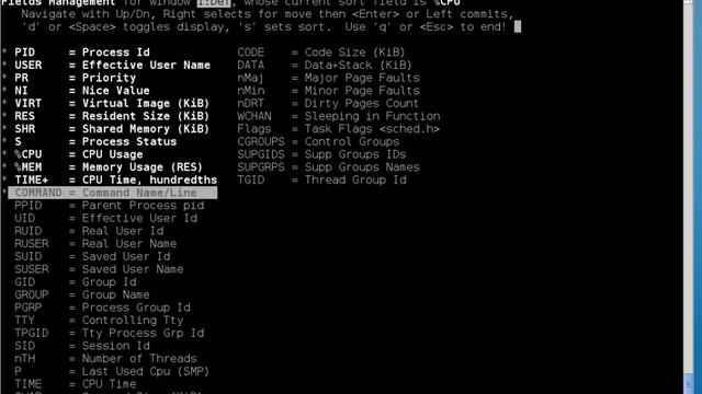 Linux in the Shell Episode 014 - Bottom of Top смотреть онлайн