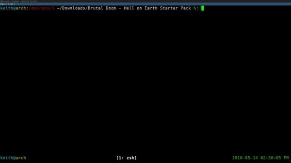 Installing Brutal DOOM on Arch Linux (Super Easy!)