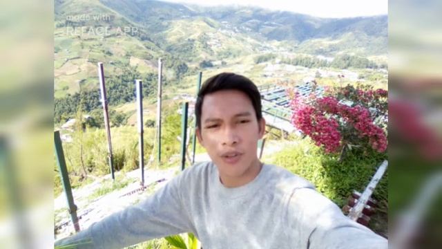 My photo can move and sing a songs using reface application смотреть онлайн