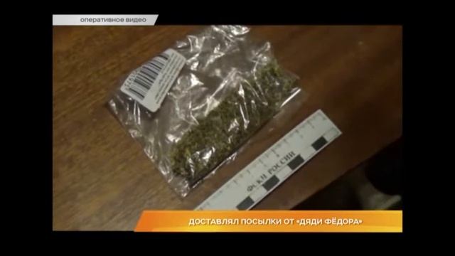 Доставлял посылки от «Дяди Фёдора» смотреть онлайн