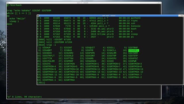 Processes in Linux, bash and C смотреть онлайн