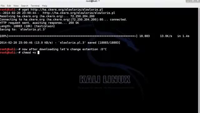 Kali Linux how to hack a website DDOS attack смотреть онлайн