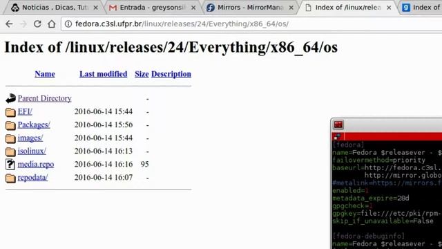 Fedora - Utilizando mirrors BR para o DNF смотреть онлайн
