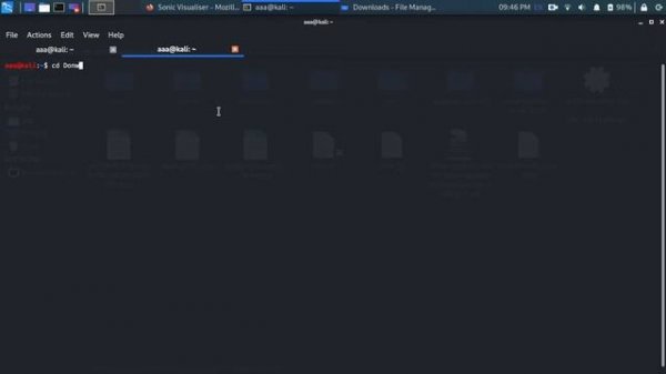 sonic visualiser linux install