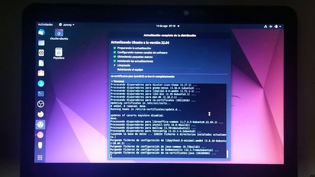 Cómo Actualizar desde Ubuntu 20.04 a Ubuntu 22.04 LTS [Jammy Jellyfish] [V425] смотреть онлайн