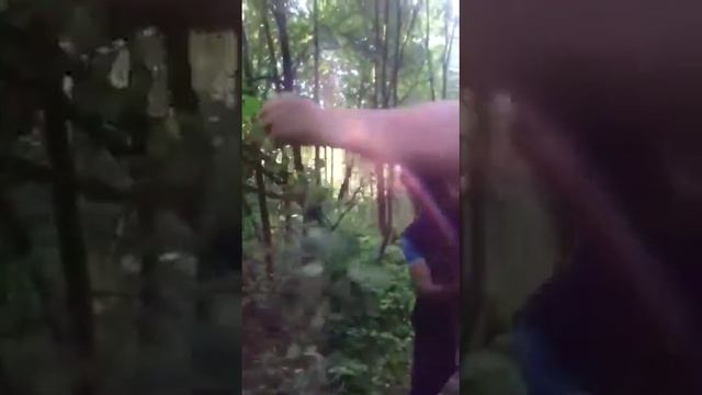 Трёхдневный интенсив Дани с 7 по 9 Августа смотреть онлайн