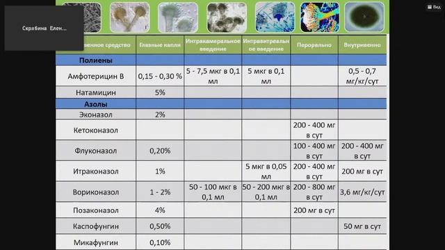 Грибковые поражения глаз. Доклад 3 смотреть онлайн