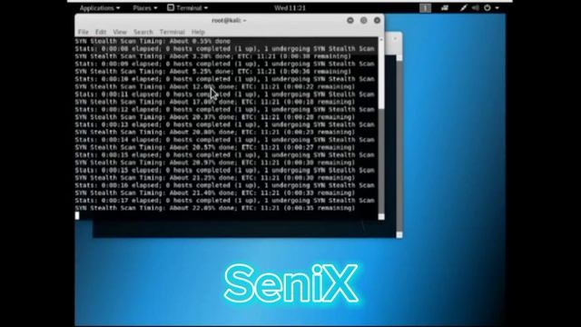 Nmap Ddos Attack (Kali Linux)