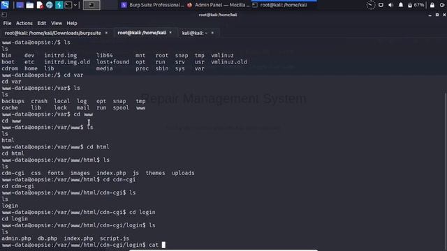 Hack The Box Walkthrough | OOPSIE смотреть онлайн