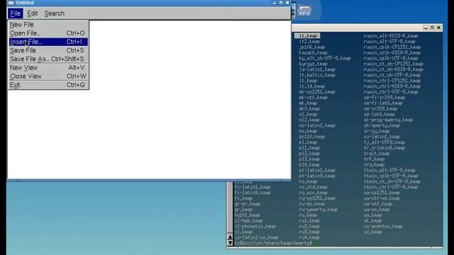 Tiny Core Linux: how to configure nonUS keyboard layout (Xvesa) смотреть онлайн