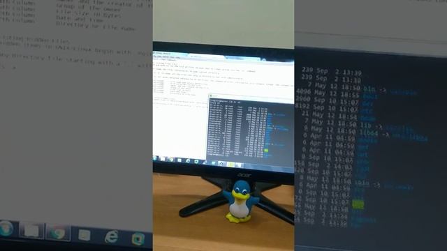 How to learn linux easily : Linux ls command introduction смотреть онлайн