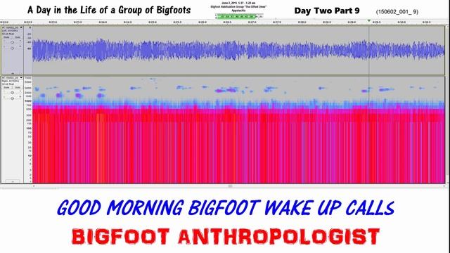 GOOD MORNING BIGFOOT WAKE UP CALLS Day Two Part 9 A Day in the Life of a Group of Bigfoots смотреть онлайн