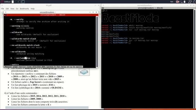 Les commandes d'Archivage et Compression dans Linux: tar et gzip смотреть онлайн