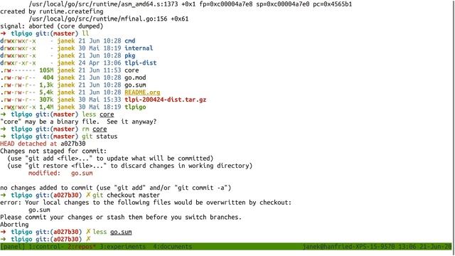 Linux Programming Interface with Golang #1 (Chapter 3 Errors + Chapter 4 Basic FileIO) смотреть онлайн