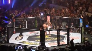 ВСЕ ПОРАЖЕНИЯ ФЕДОРА ЕМИЛЬЯНЕНКО⁄ FEDOR EMELIANENKO ALL LOSSES