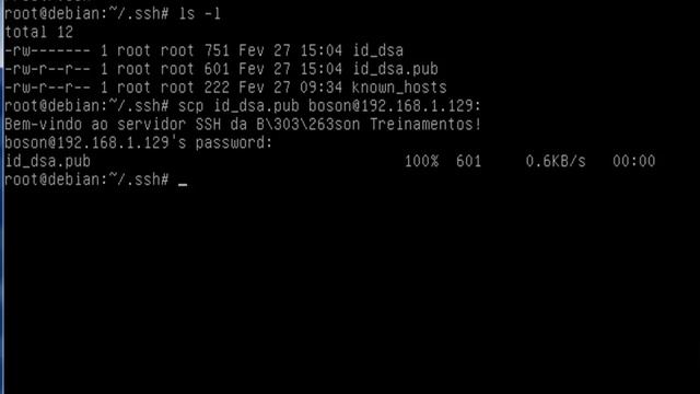 SSH - Conexão por Chave Pública e Criptografia Assimétrica no Linux - 02 смотреть онлайн