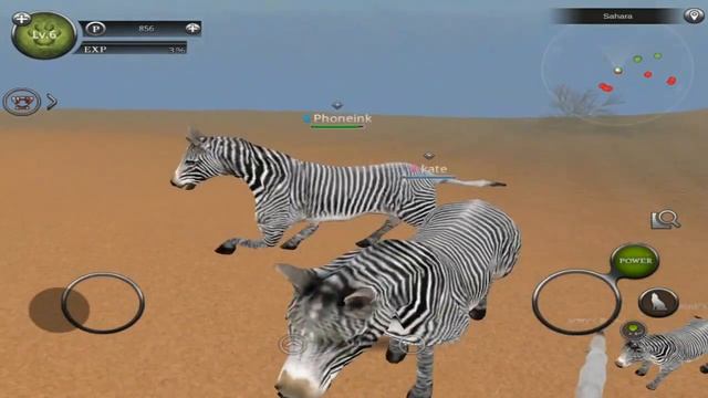 Wild Animals Online - Group of Zebras - Android/iOS - Gameplay Episode 9 смотреть онлайн