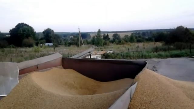 Продолжаю работать на току Буртование погрузка зерна смотреть онлайн
