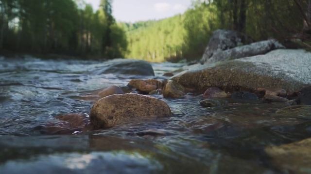 Шаман. Вода. Фильм Дмитрия Кречетова. смотреть онлайн