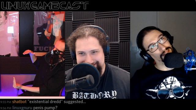 LinuxGameCast Weekly 364: PIP Issues смотреть онлайн