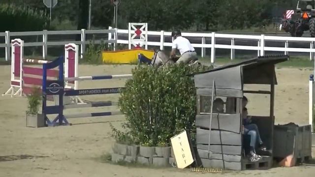 For Sale ; Lolita , Cento x Cassini 2011 смотреть онлайн