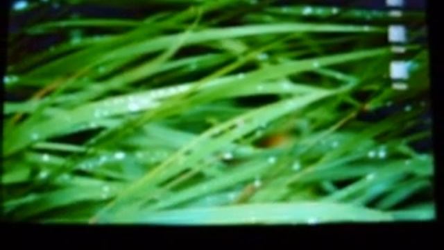 Acer Aspire One A150 on Leopard Fix смотреть онлайн