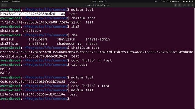 File integrity check with checksum, md5sum, sha256sum смотреть онлайн