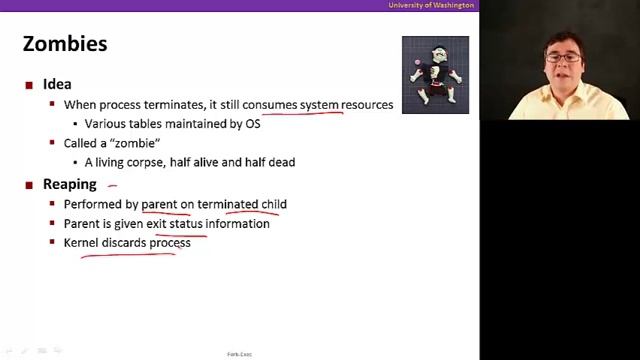 Processes, Video 4: Fork-exec смотреть онлайн