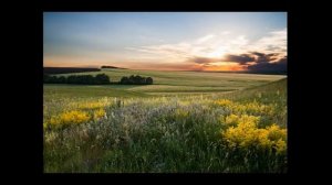 «Русское поле». Юрий Смирнов, 2020 г.