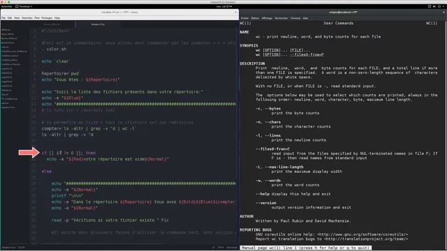 Linux Script Shell - 21 - Variable $? смотреть онлайн