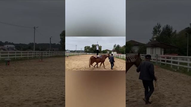 Соревнования смотреть онлайн