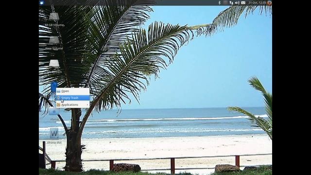 How To:Delete Trash In Windows & Linux смотреть онлайн