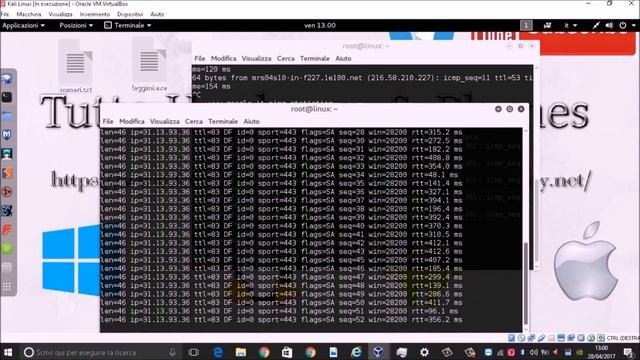 Come Dossare Un Sito Web | Guida Kali Linux смотреть онлайн
