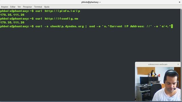 Ajuda Linux - Dia 855 - Como descobrir seu IP público no Linux смотреть онлайн