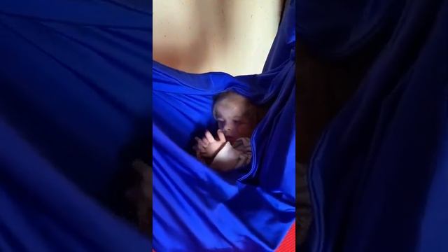 Нужна Ваша помощь 27.01.22 смотреть онлайн