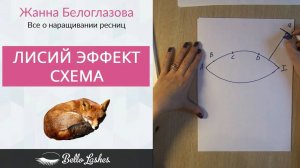 Лисий эффект. Схема наращивания ресниц